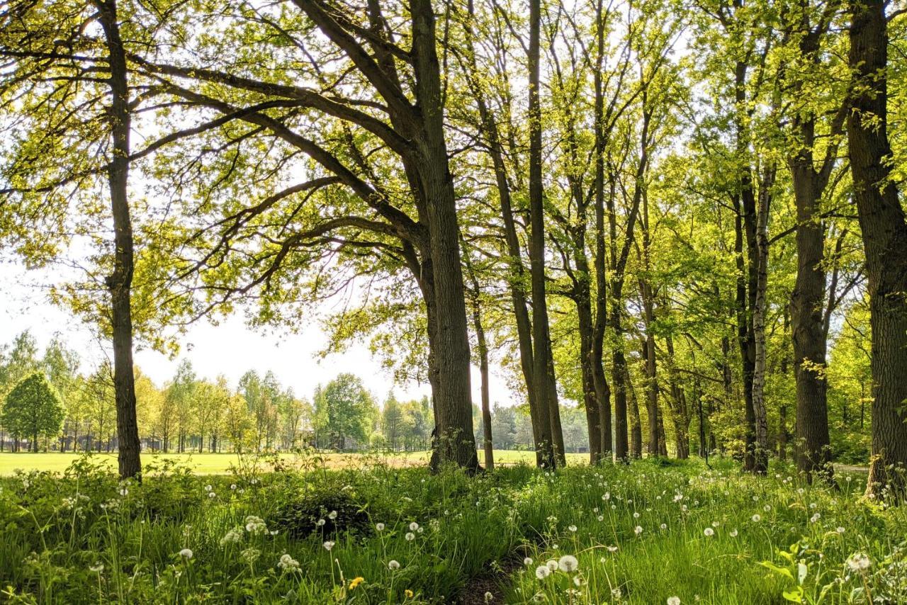 Camping de Vinkenkamp Lieren Bagian luar foto